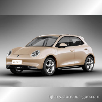2022 ORA good cat mini ev